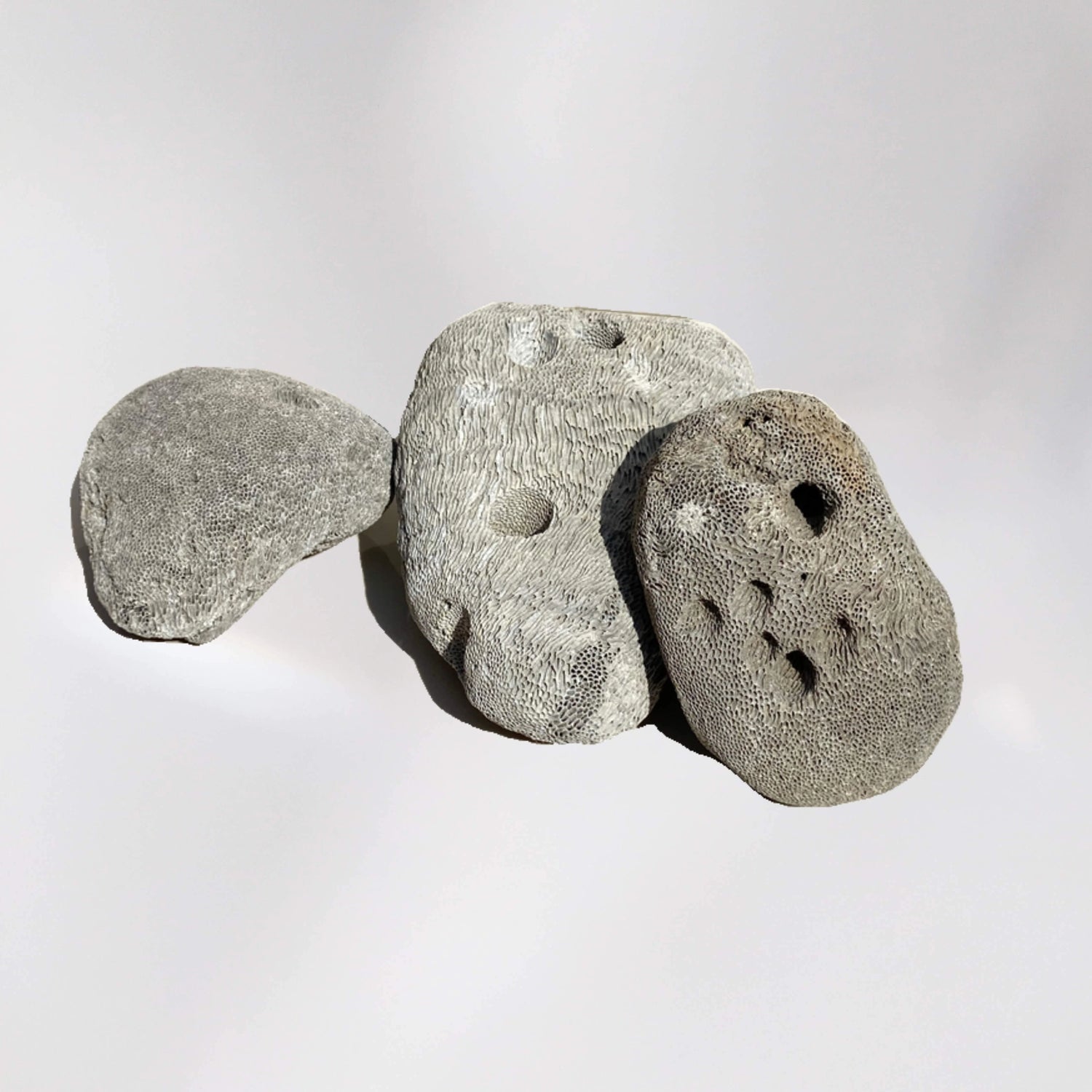 Piedra pómez natural para filtración de agua, hidroponía y tratamientos estéticos.
