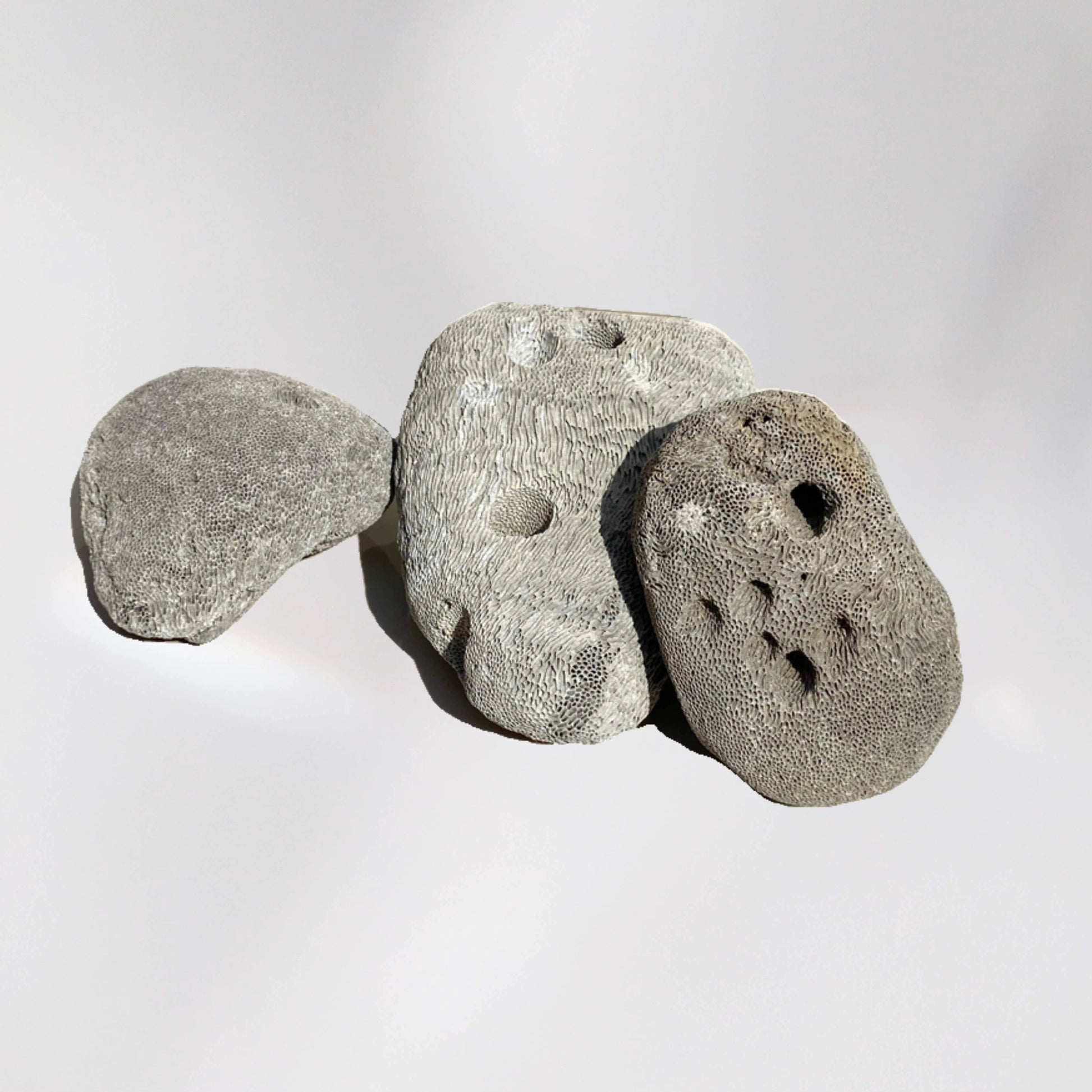 Piedra pómez natural para filtración de agua, hidroponía y tratamientos estéticos.